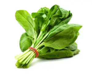 Read more about the article Why Spinach Powder Belongs in Your Kitchen