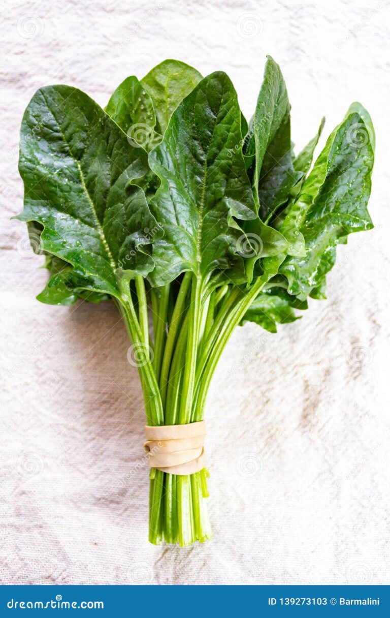 bunch-green-fresh-organic-spinach-leaves-close-up-copy-space-top-view-bunch-green-fresh-organic-spinach-leaves-139273103